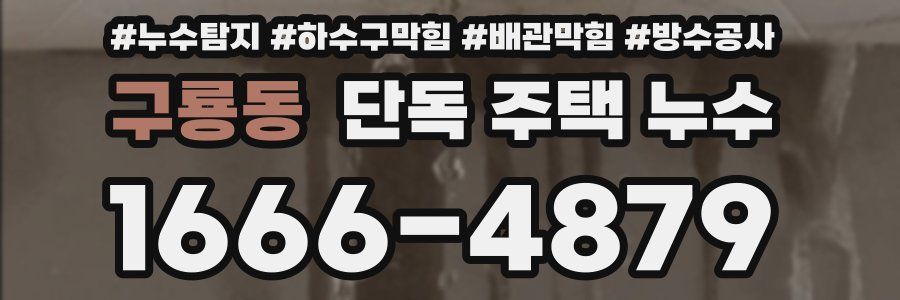구룡동 단독 주택 누수