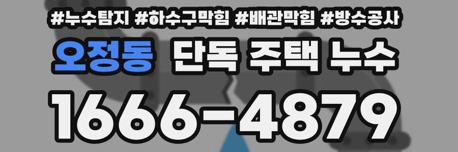 오정동 단독 주택 누수