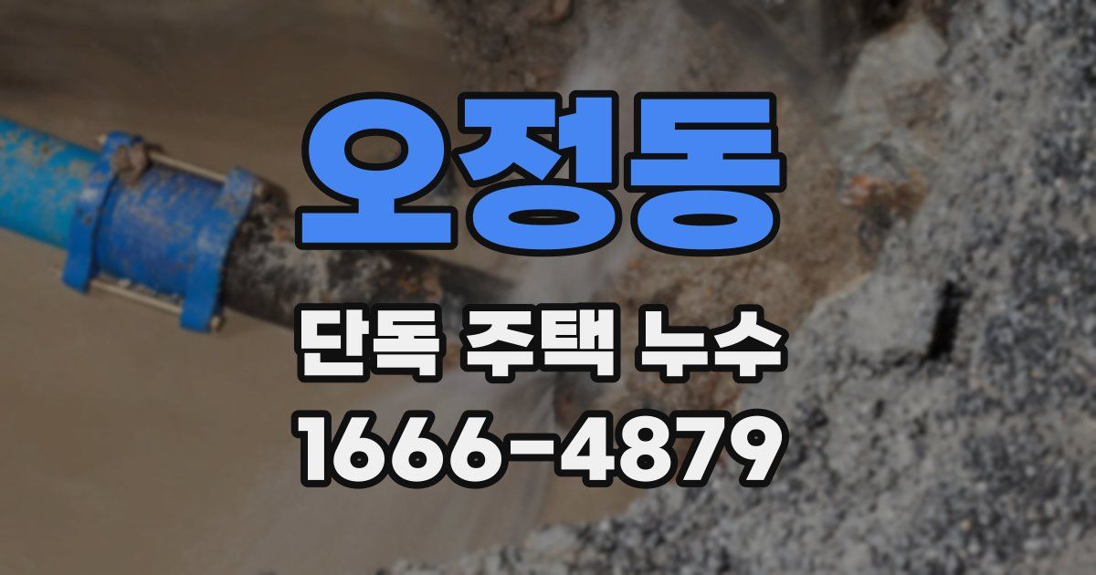 오정동 단독 주택 누수