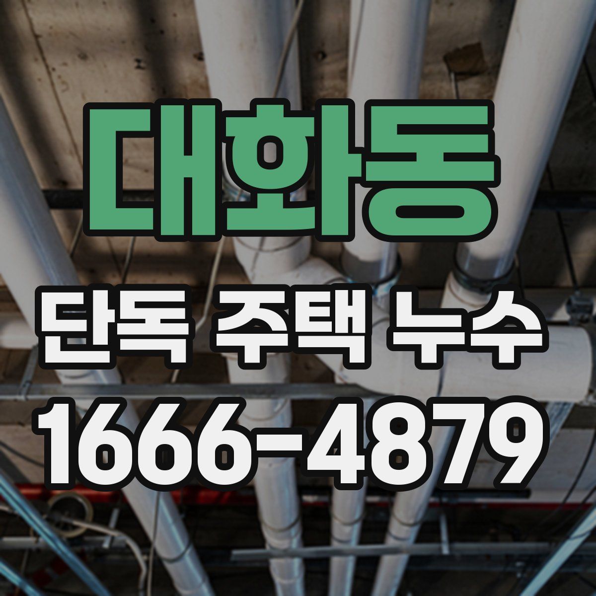 대화동 단독 주택 누수
