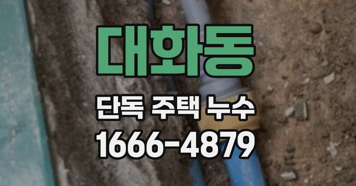대화동 단독 주택 누수