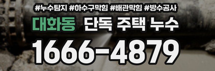 대화동 단독 주택 누수