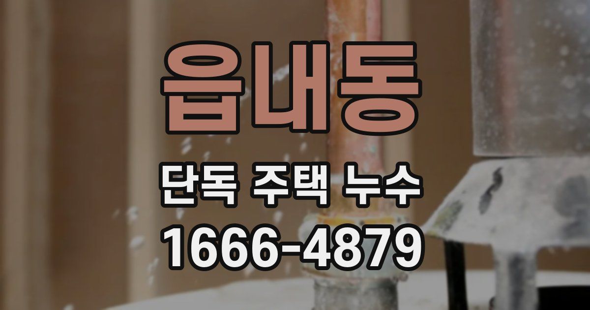 읍내동 단독 주택 누수