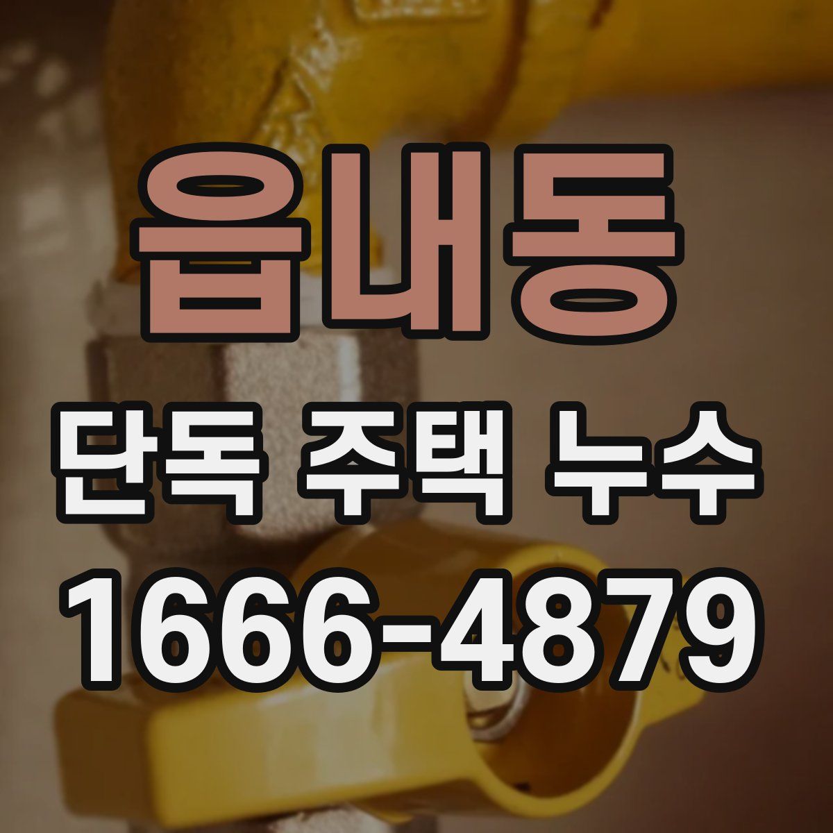 읍내동 단독 주택 누수