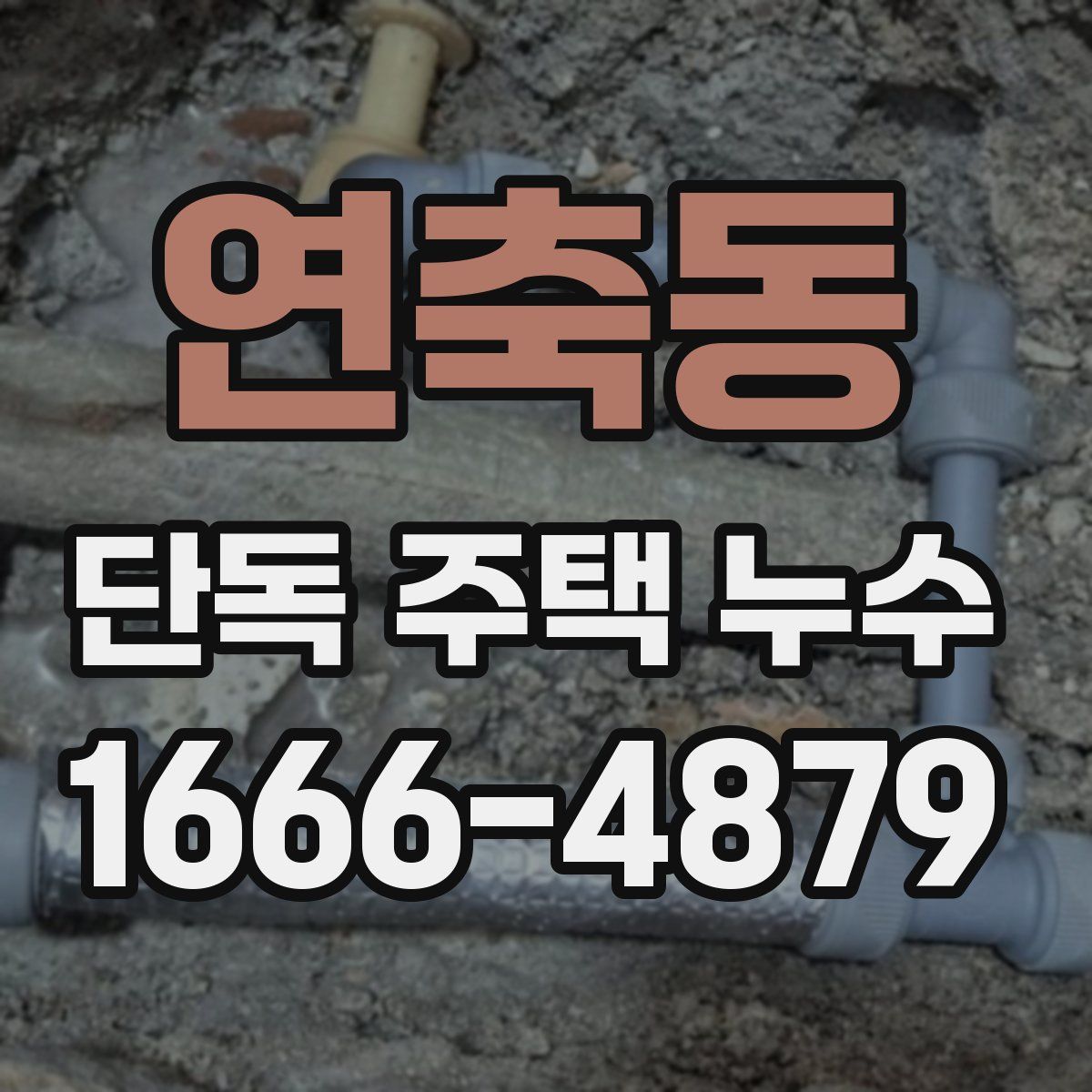연축동 단독 주택 누수