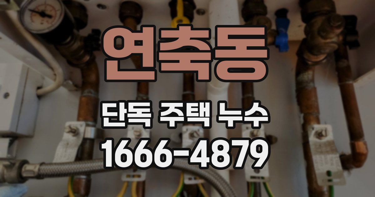 연축동 단독 주택 누수