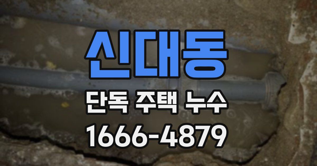 신대동 단독 주택 누수