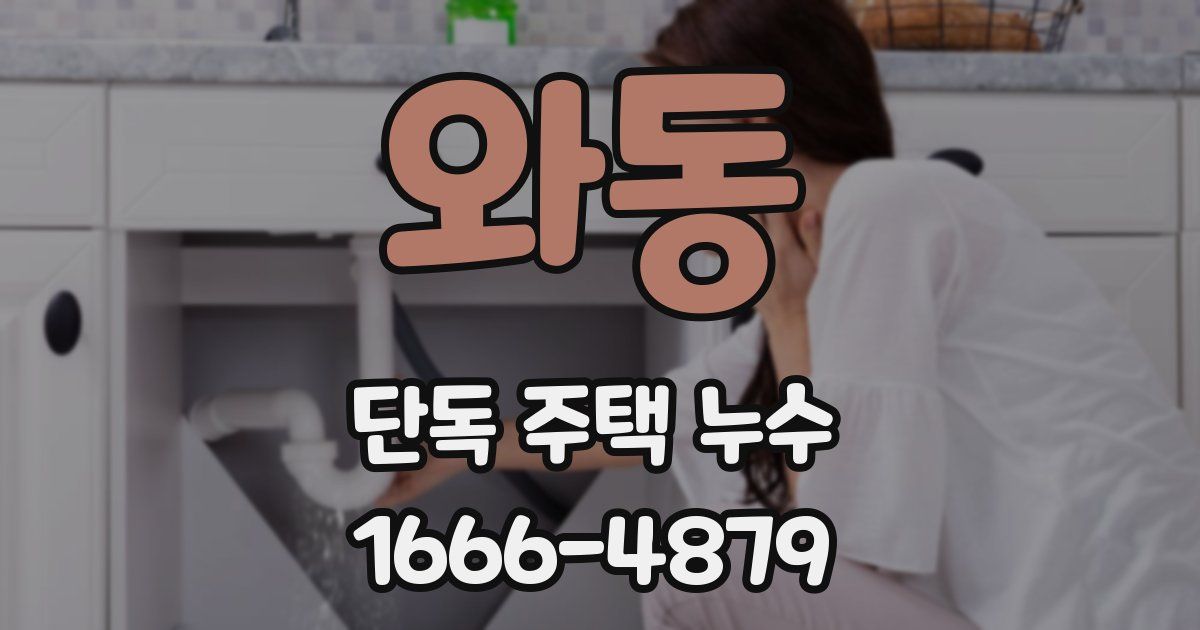 와동 단독 주택 누수