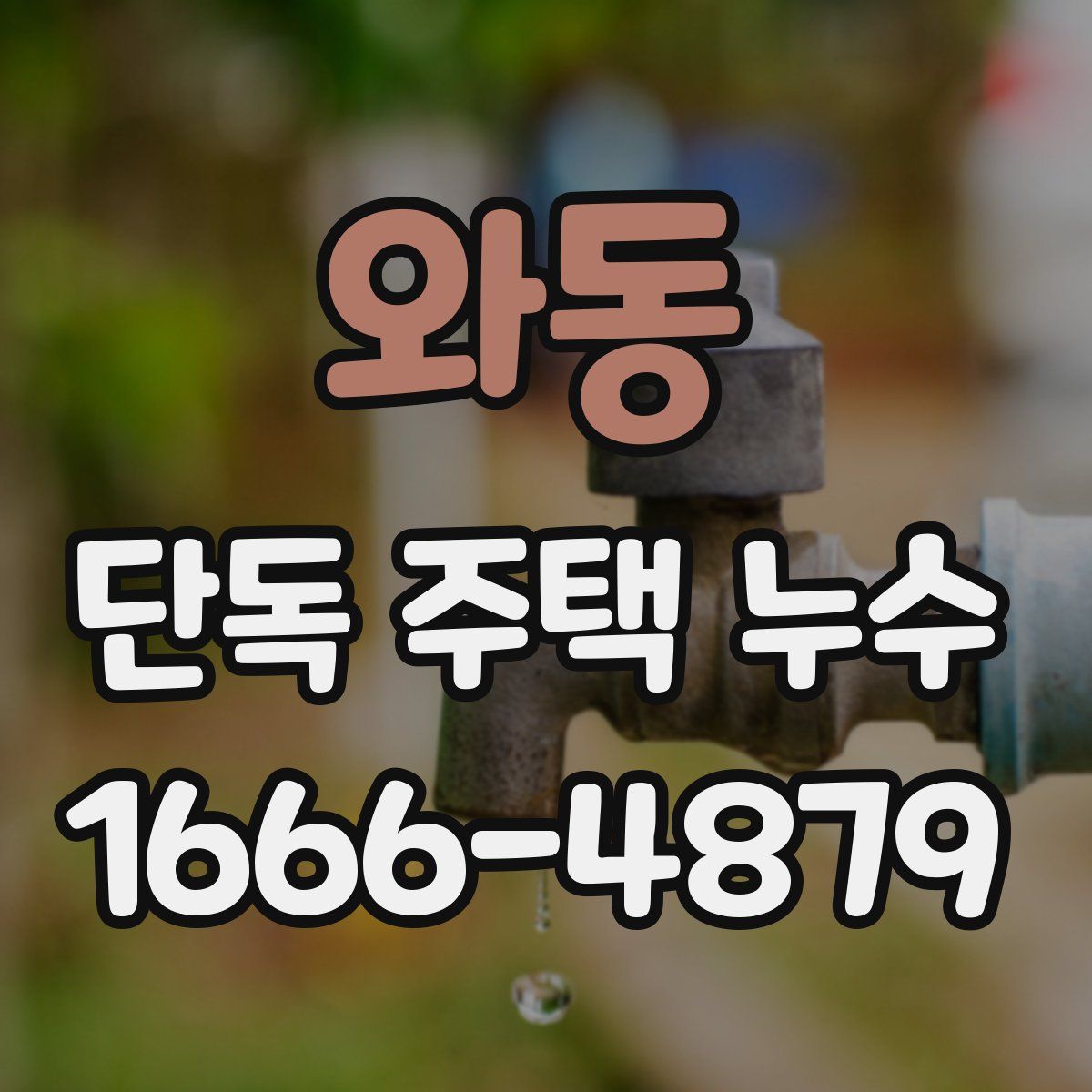 와동 단독 주택 누수