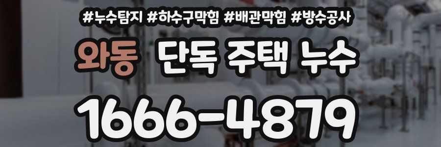 와동 단독 주택 누수