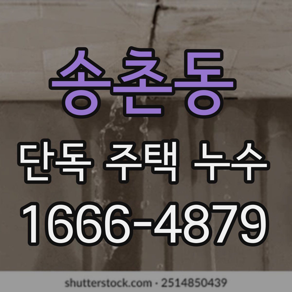 송촌동 단독 주택 누수