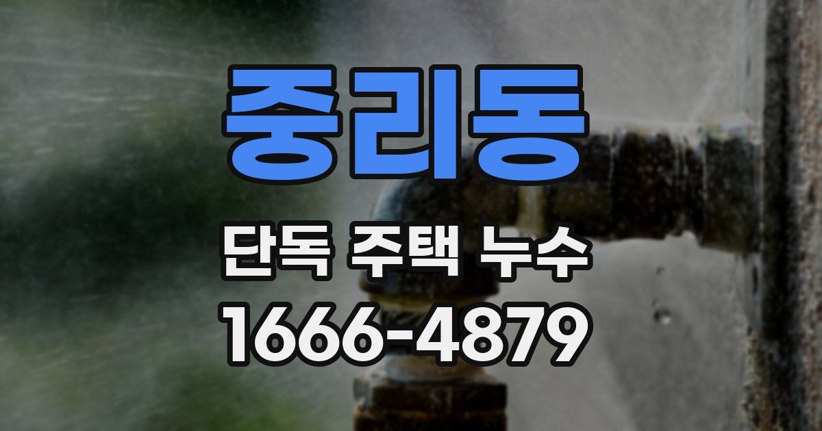 중리동 단독 주택 누수