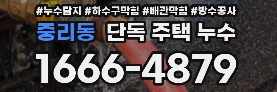 중리동 단독 주택 누수