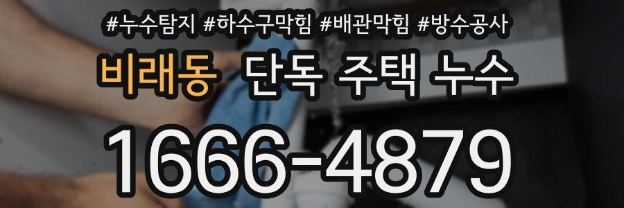 비래동 단독 주택 누수