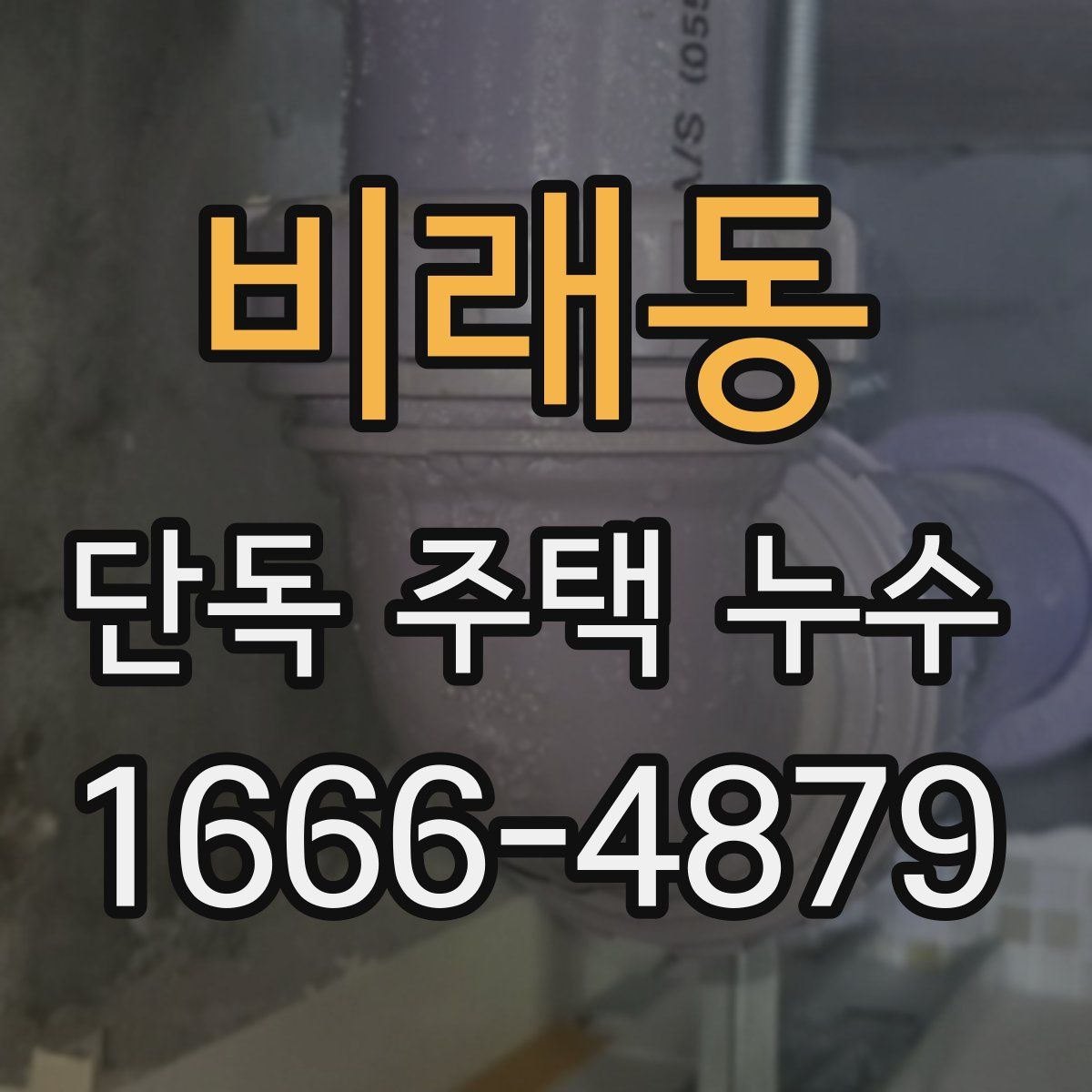 비래동 단독 주택 누수