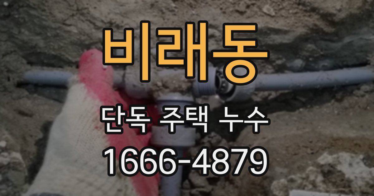 비래동 단독 주택 누수