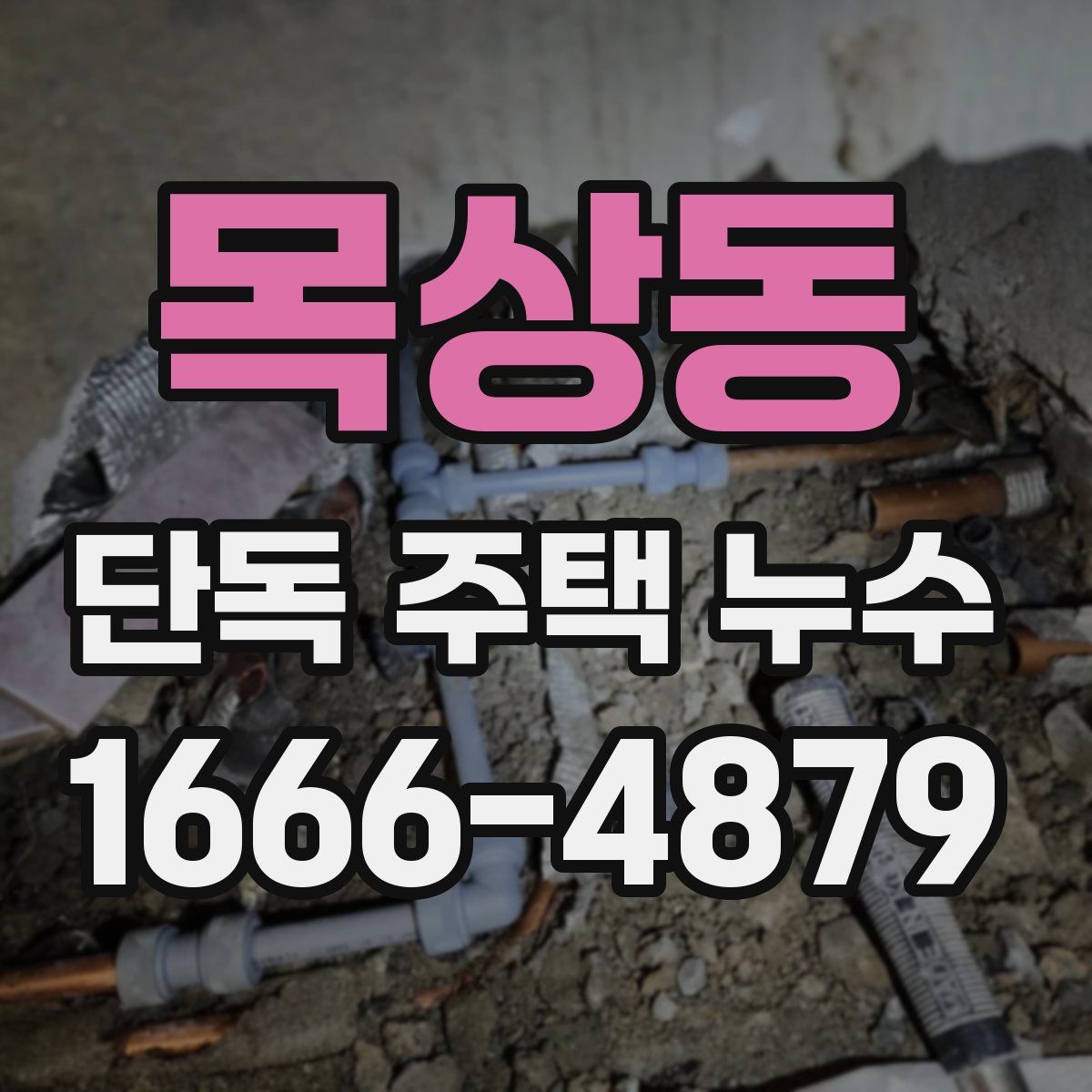 목상동 단독 주택 누수