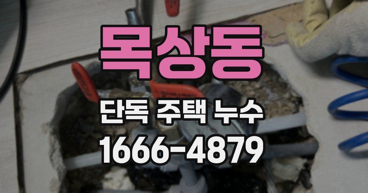 목상동 단독 주택 누수