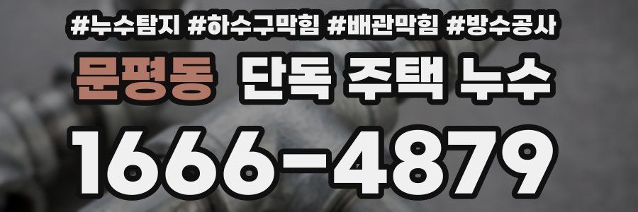 문평동 단독 주택 누수