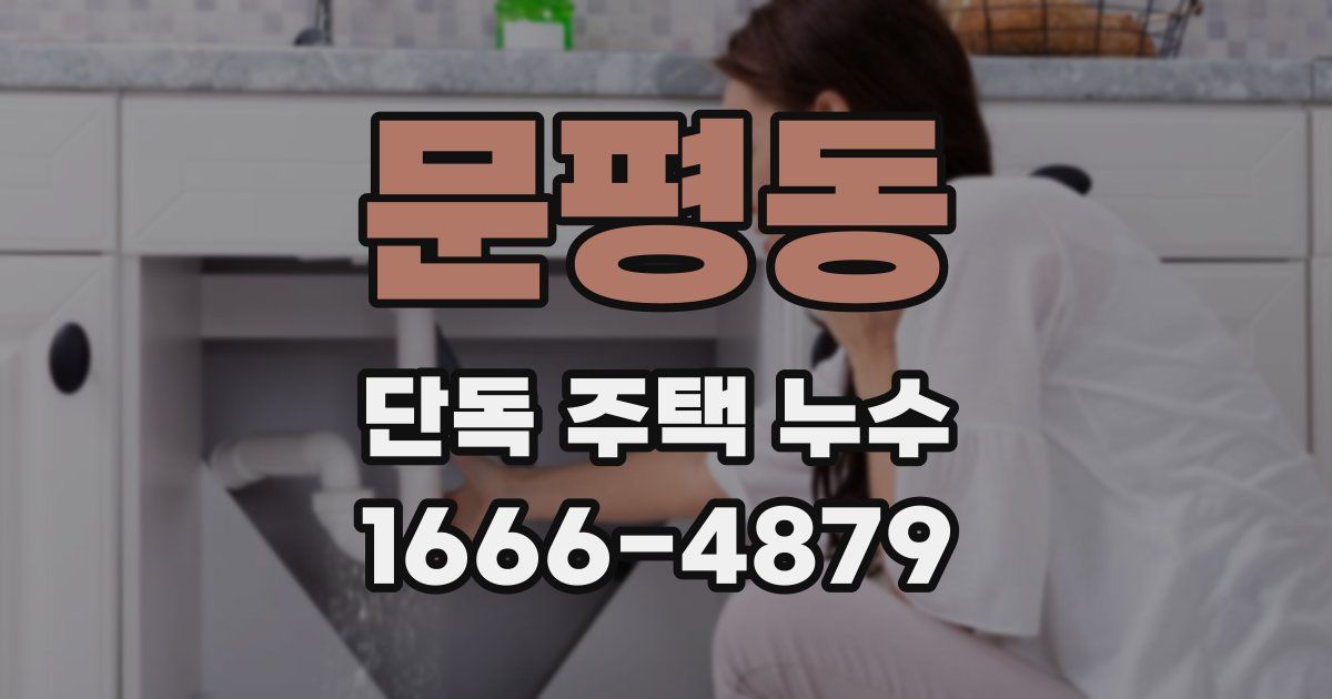 문평동 단독 주택 누수