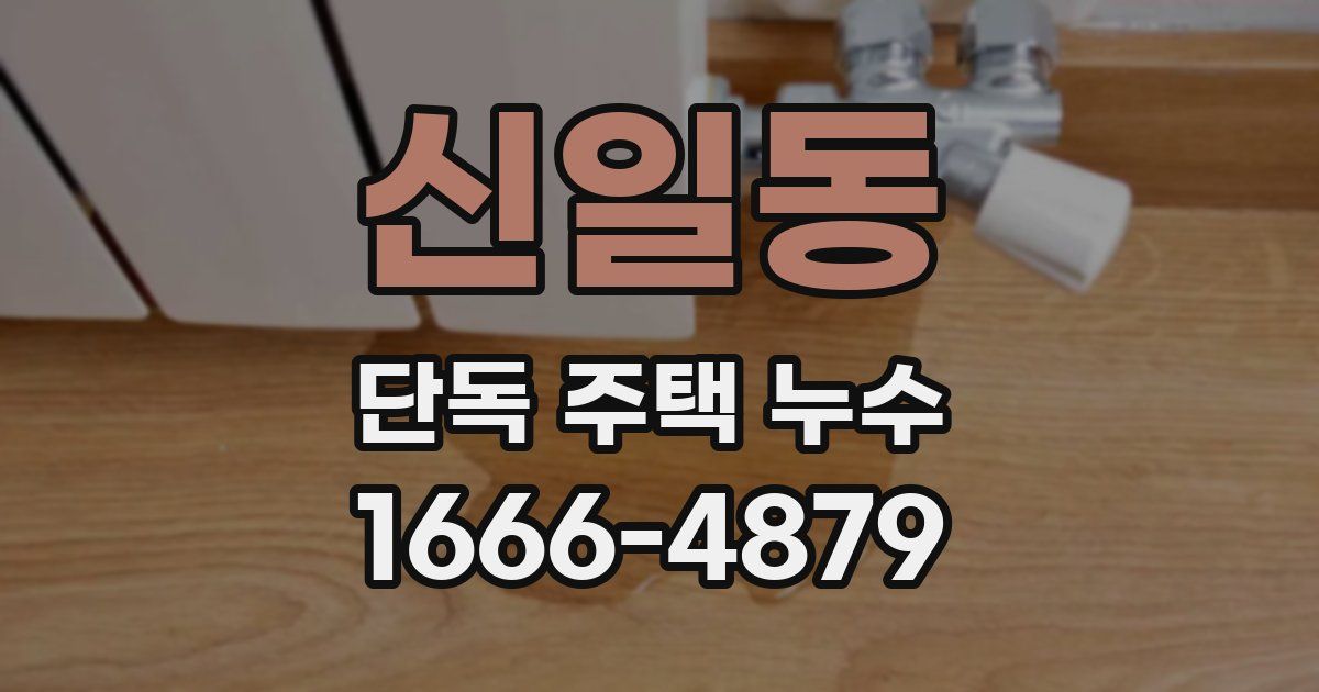 신일동 단독 주택 누수