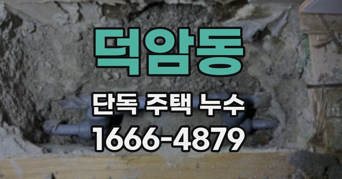 덕암동 단독 주택 누수