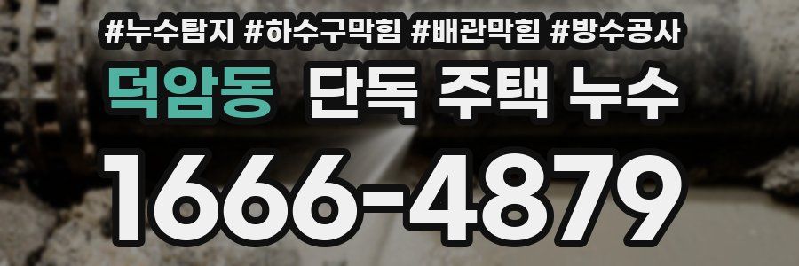 덕암동 단독 주택 누수