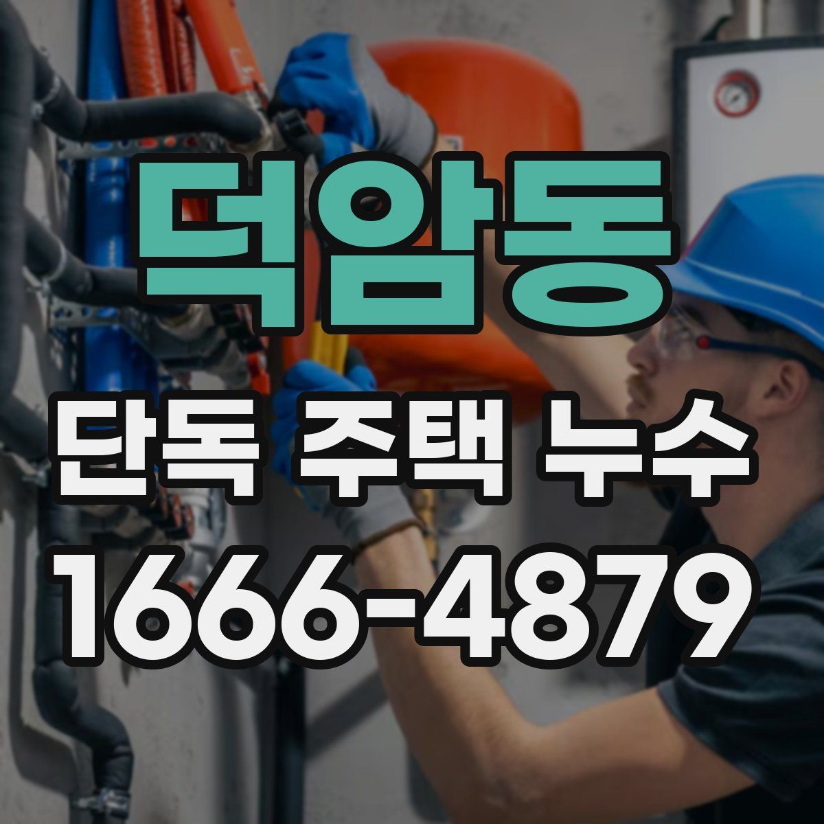 덕암동 단독 주택 누수