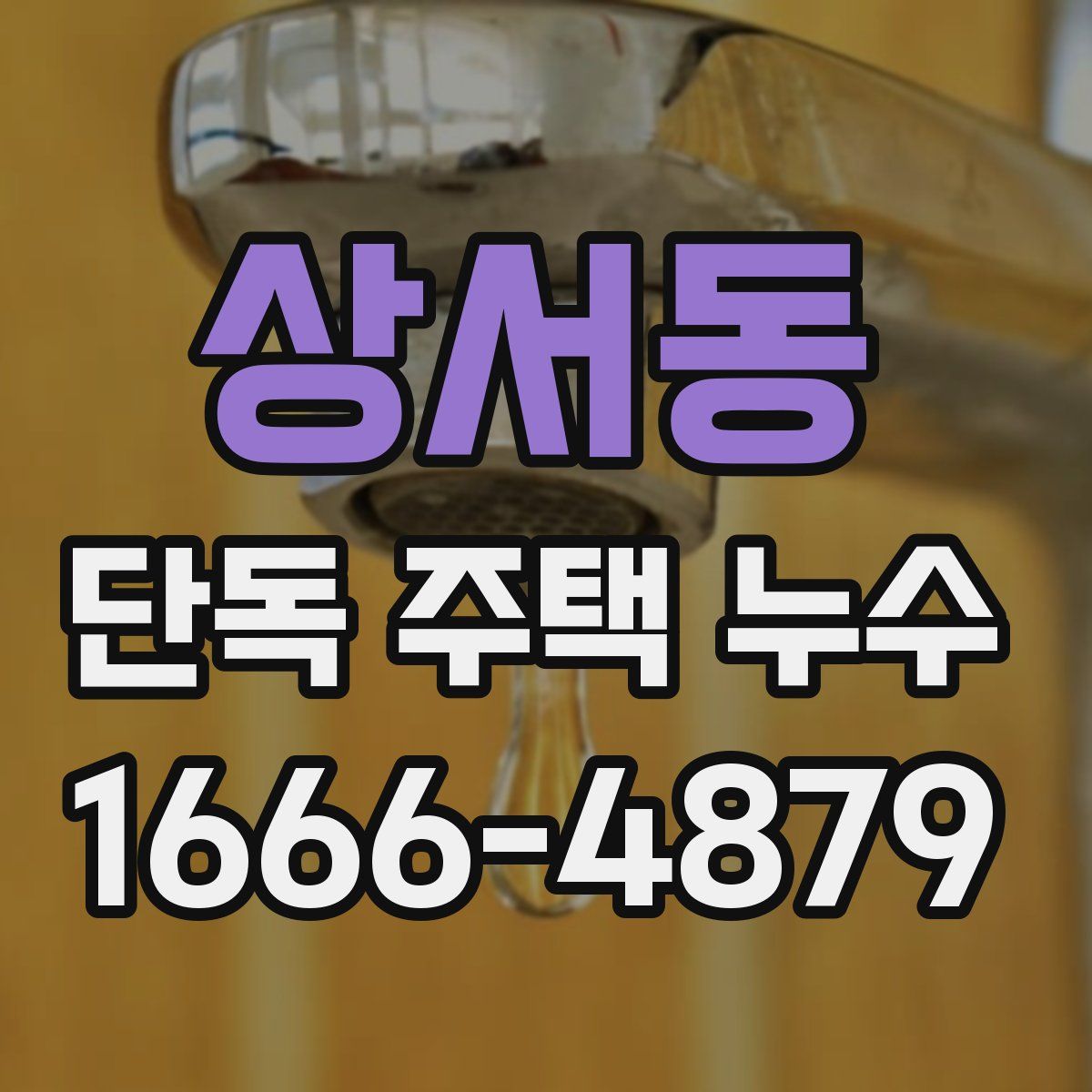 상서동 단독 주택 누수
