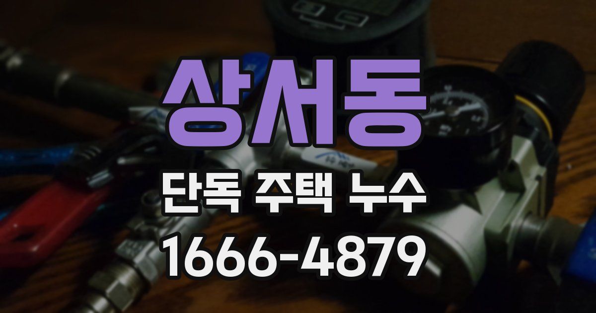상서동 단독 주택 누수