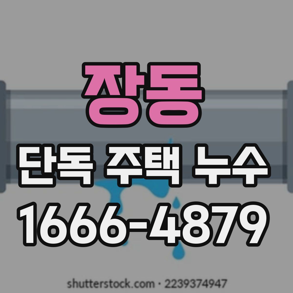 장동 단독 주택 누수