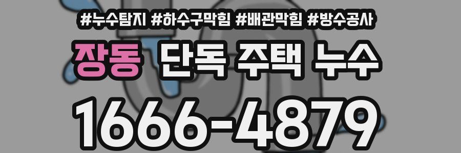 장동 단독 주택 누수