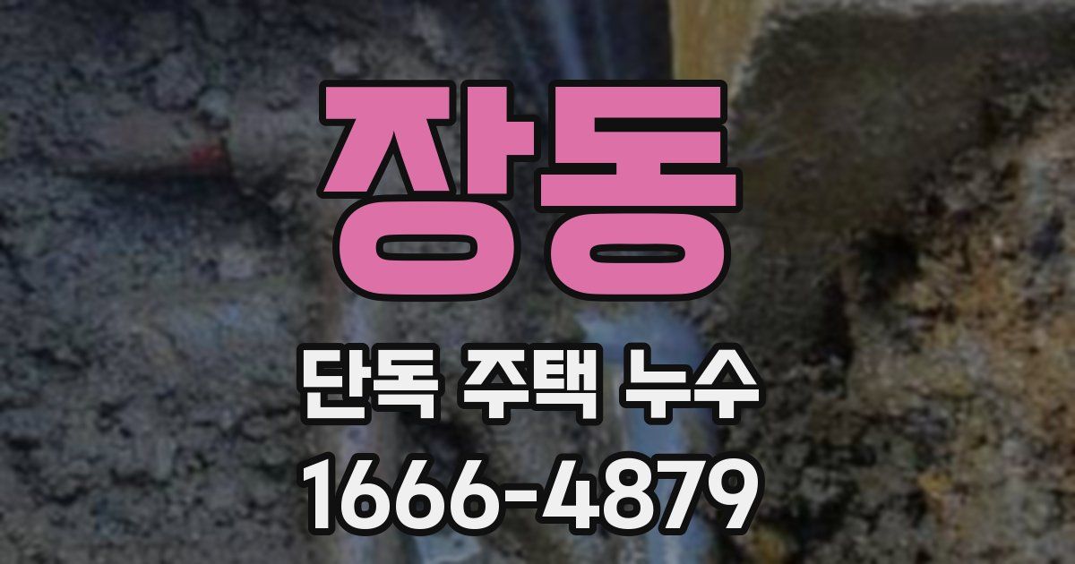 장동 단독 주택 누수