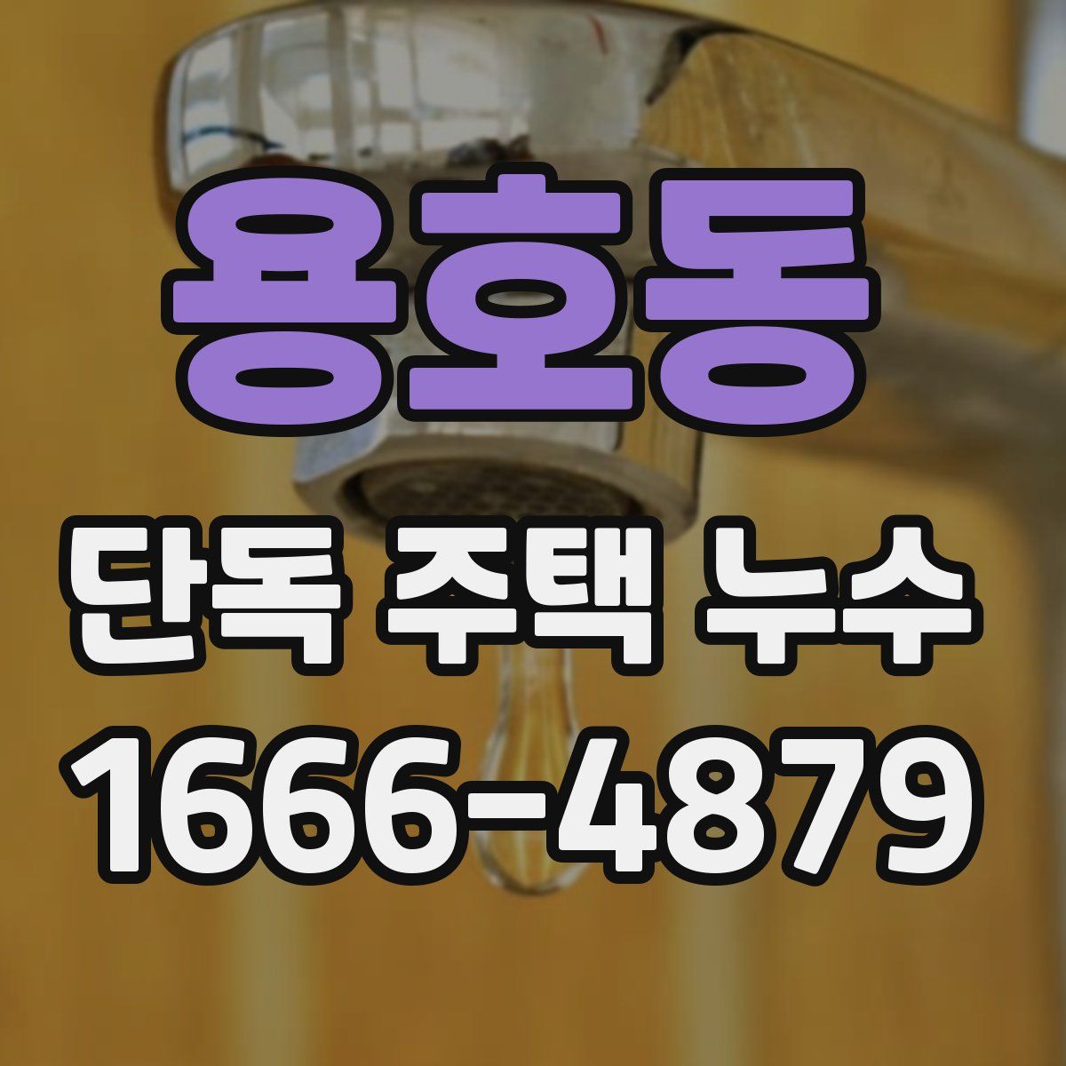 용호동 단독 주택 누수