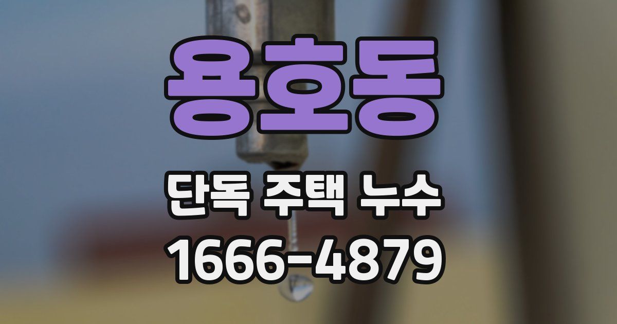 용호동 단독 주택 누수