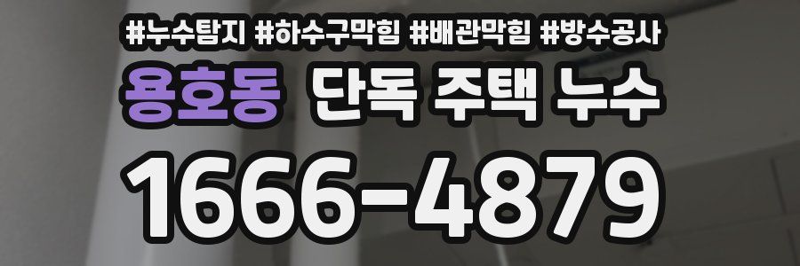 용호동 단독 주택 누수