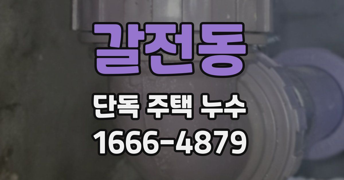 갈전동 단독 주택 누수