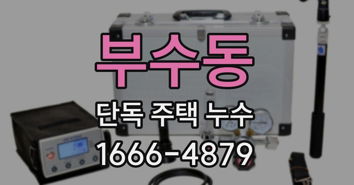부수동 단독 주택 누수