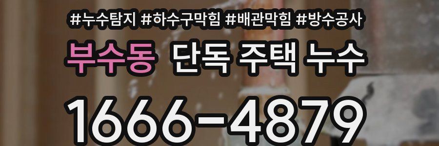 부수동 단독 주택 누수