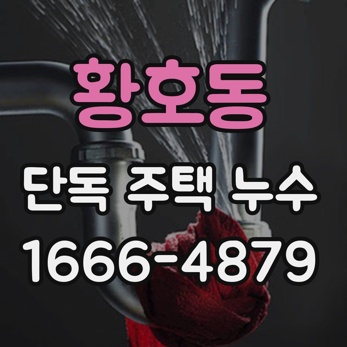 황호동 단독 주택 누수