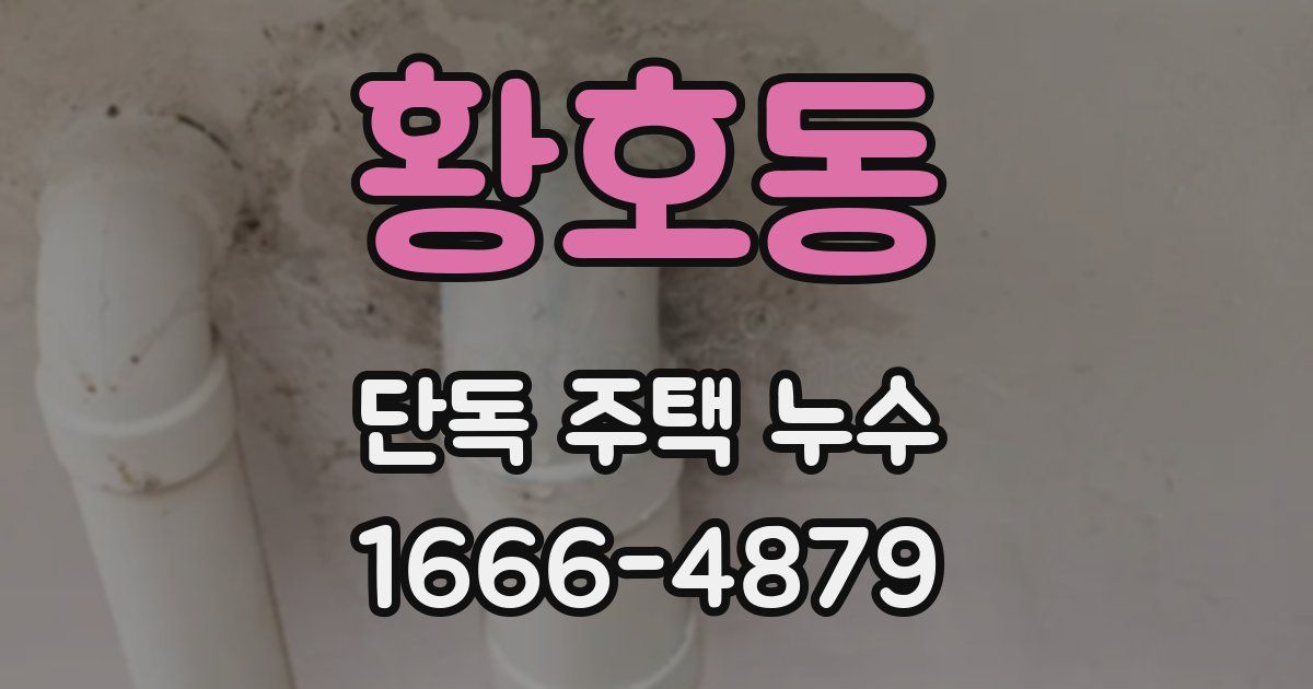 황호동 단독 주택 누수