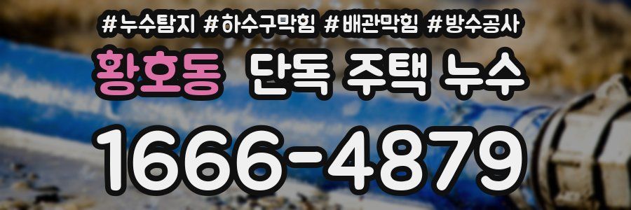 황호동 단독 주택 누수