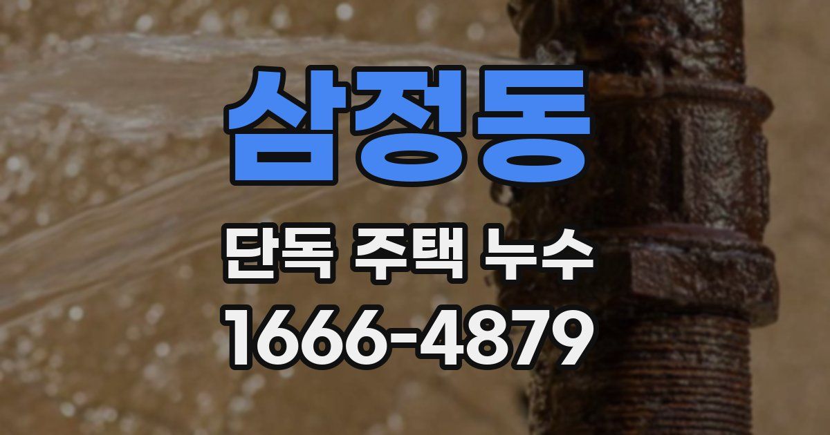 삼정동 단독 주택 누수