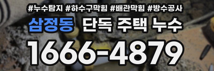 삼정동 단독 주택 누수