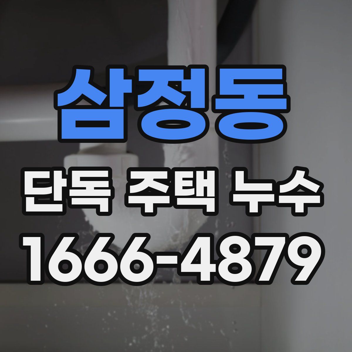 삼정동 단독 주택 누수