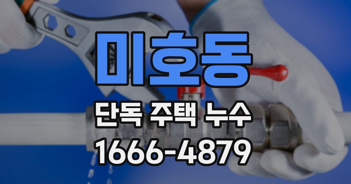 미호동 단독 주택 누수