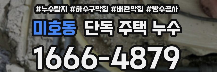 미호동 단독 주택 누수