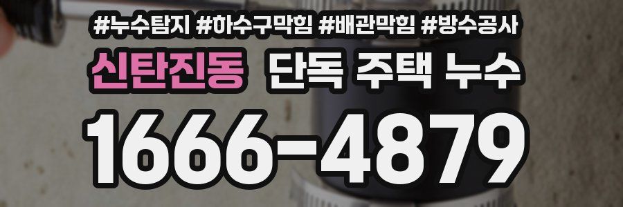 신탄진동 단독 주택 누수