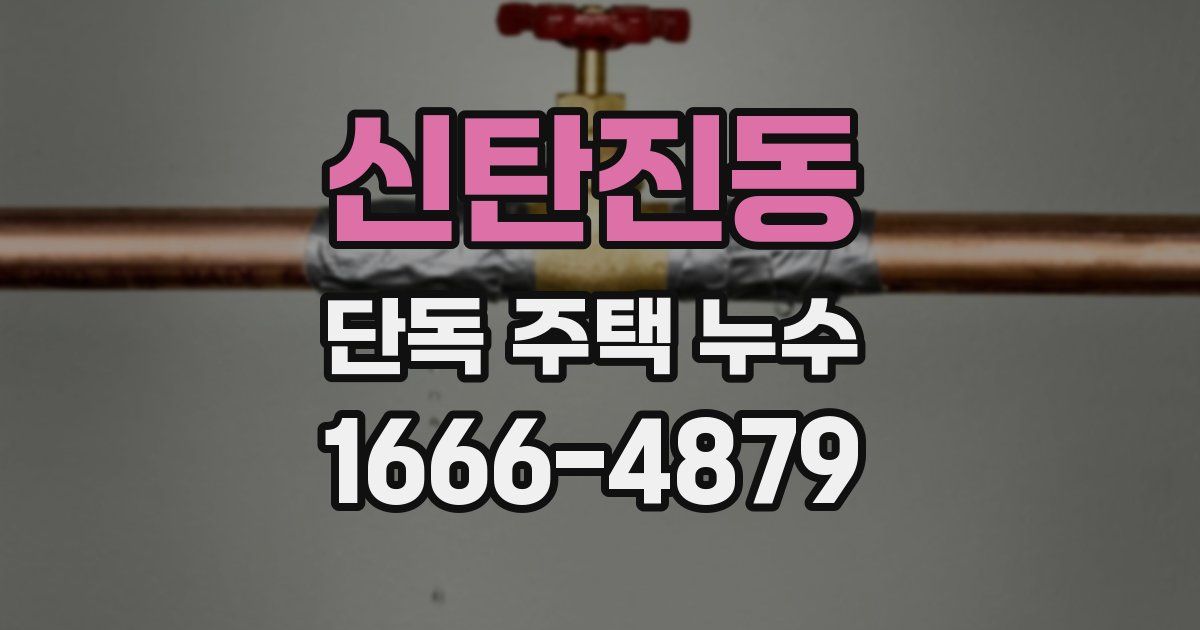 신탄진동 단독 주택 누수