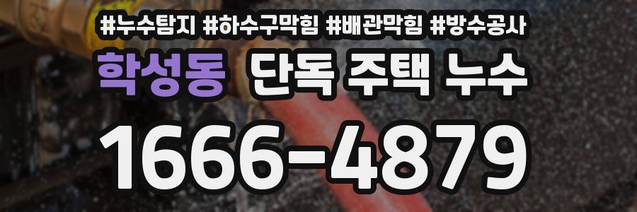 학성동 단독 주택 누수